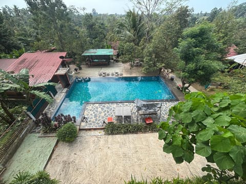 Property building, Day, Garden, Garden view, Pool view, Swimming pool, Swimming pool