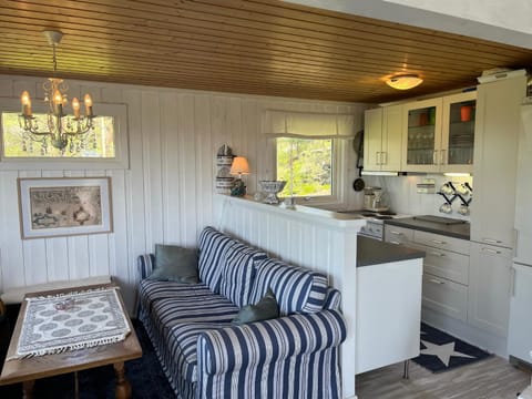 Kitchen or kitchenette, Living room, kitchen, kitchen