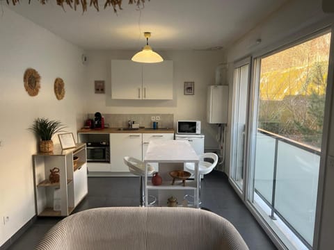 Studio Leman Ciel avec parking privé gratuit Apartment in Gex