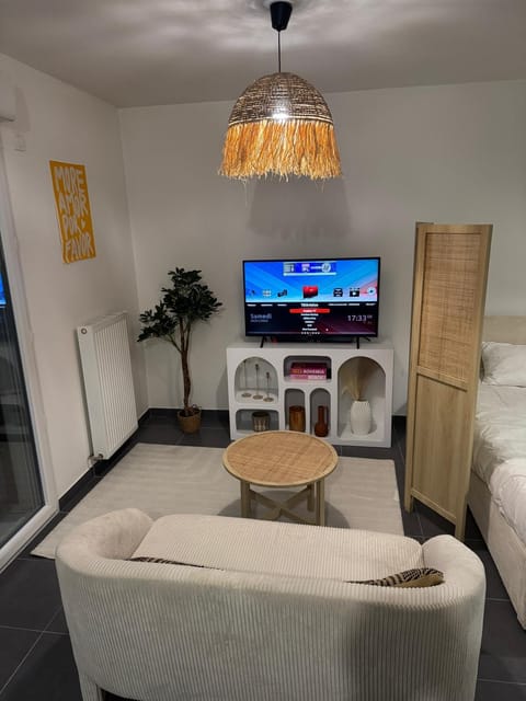 Studio Leman Ciel avec parking privé gratuit Apartment in Gex