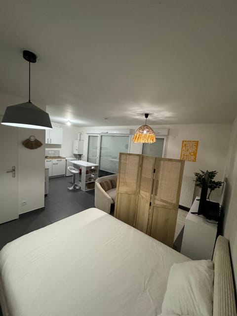 Studio Leman Ciel avec parking privé gratuit Apartment in Gex