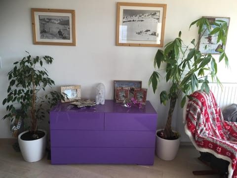 Fantastic appart ski aux pieds Apartment in L'Alpe d'Huez