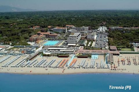 Summer, Beach, Area and facilities