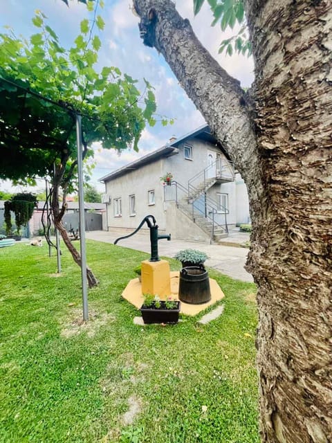 Surčin Grape Vine Apartments Apartment in Vojvodina