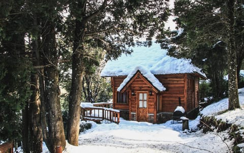 Natural landscape, Winter