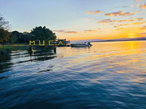 Lake view