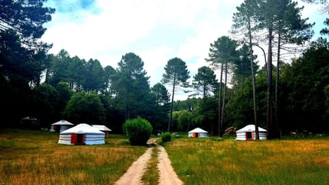 View (from property/room), Photo of the whole room