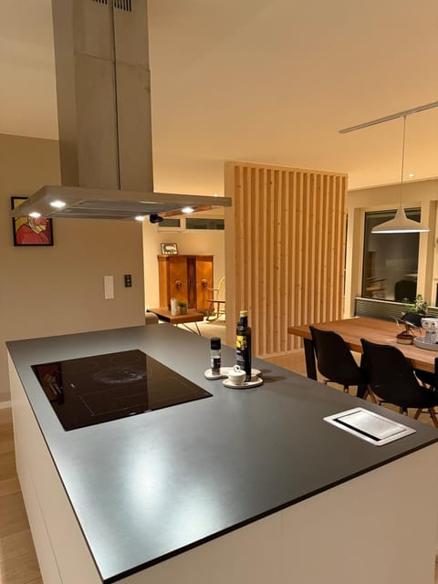 Polar fjord mansion Villa in Tromso