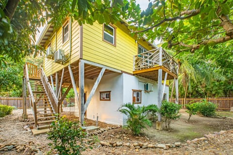 2 Coco Locos at Sunset House in Stann Creek District