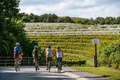Spring, Day, People, Neighbourhood, Natural landscape, Cycling, group of guests