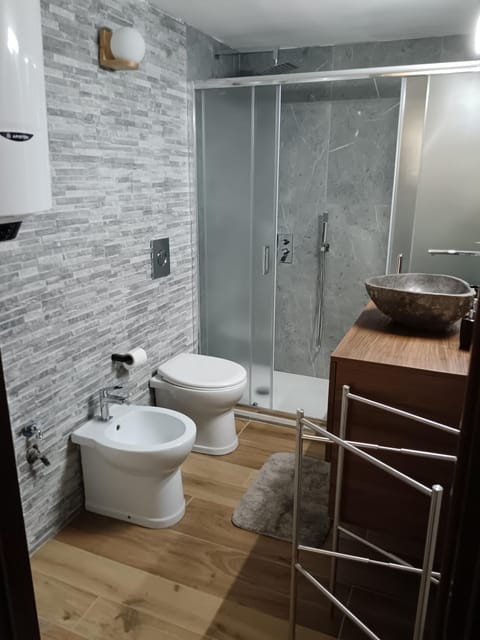 Shower, Toilet, bidet, towels