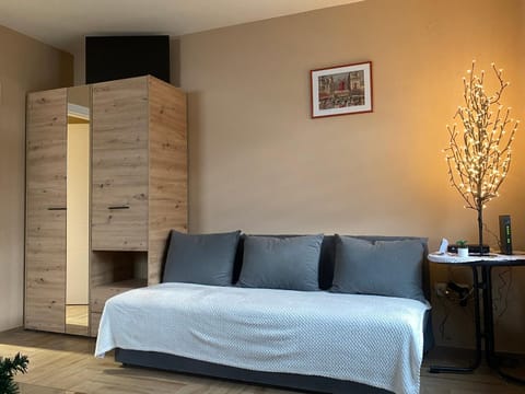 Apartman Neo Apartment in Novi Sad