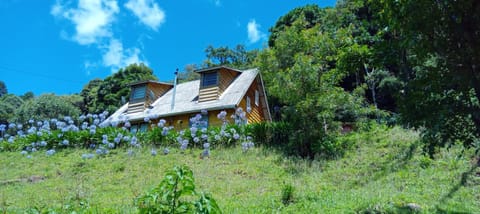 Property building, Spring