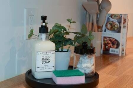 Mountain Modern Apartment Apartment in Wyoming