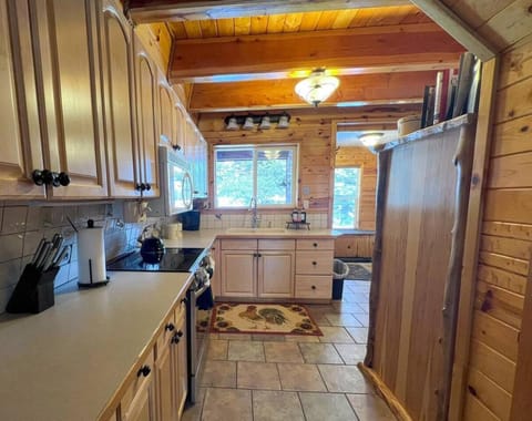 Cozy Bear Cabin Getaway Cabin in Island Park