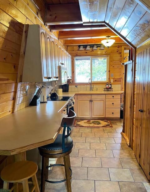 Cozy Bear Cabin Getaway Cabin in Island Park