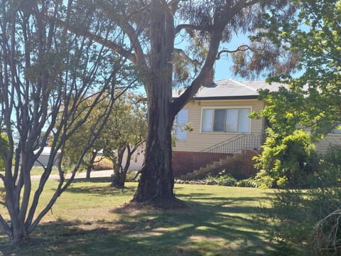 Property building, Garden view