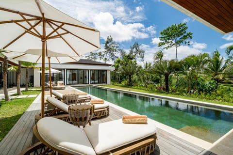 Garden, Garden view, Pool view, Swimming pool, internet, sunbed