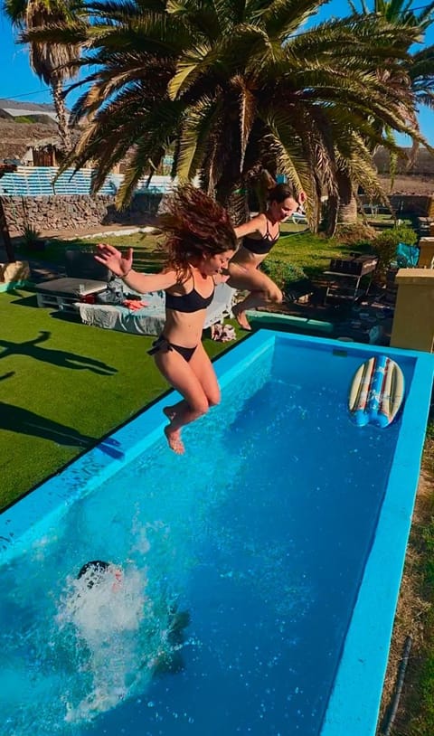 People, Guests, Swimming pool