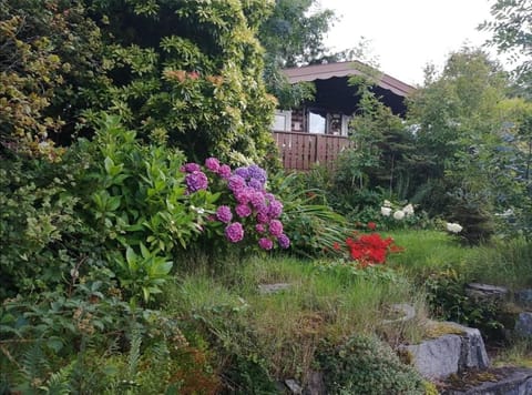 Spyder Ranch House in Trawsfynydd