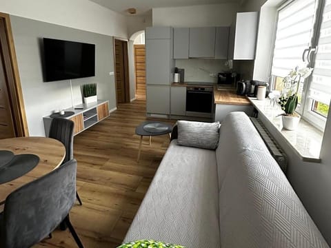 Communal lounge/ TV room, TV and multimedia, Kitchen or kitchenette, Living room, Seating area, Dining area, Evening entertainment, minibar, oven, pet friendly, stove