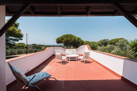 Patio, Day, Natural landscape, View (from property/room), Balcony/Terrace, Seating area, sunbed