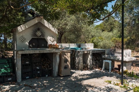 Day, Natural landscape, Garden, Garden view