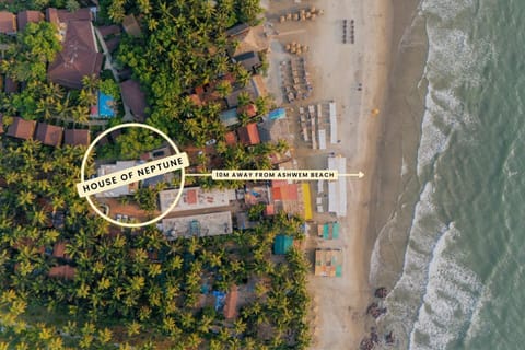 Natural landscape, Bird's eye view, Beach