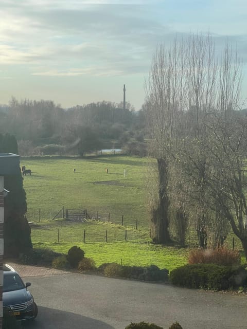 Neighbourhood, Natural landscape, Garden view