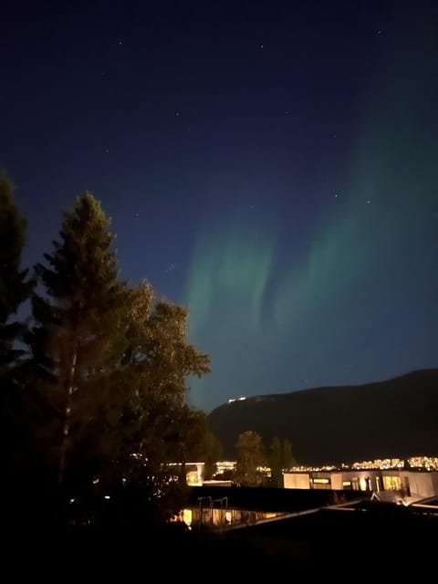 Nearby landmark, Off site, Night, Autumn