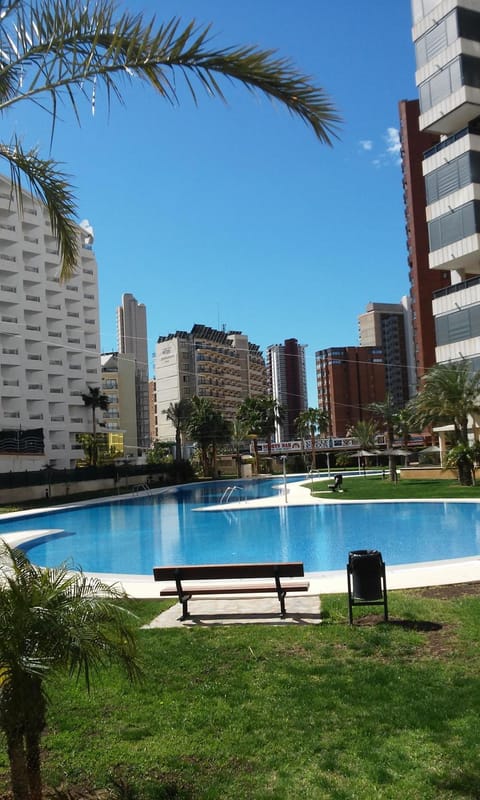 Garden, Swimming pool