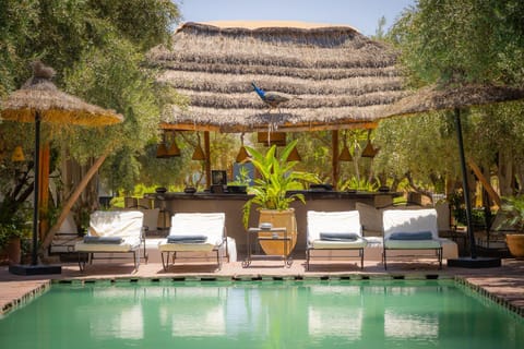 Lounge or bar, Evening entertainment, Alcoholic drinks, Open Air Bath, Open Air Bath