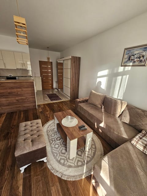 Apartman Bubii Apartment in Zlatibor District, Serbia