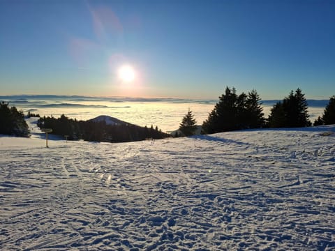 TomaR-Gondola Apartment in Serbia