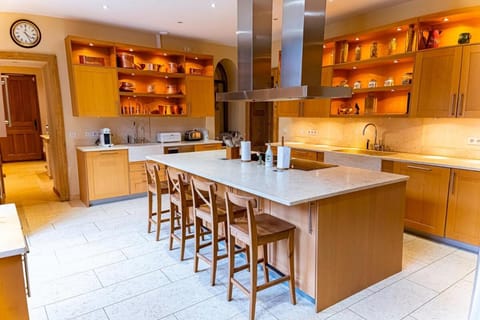 Chateau d 'Echenevex, Geneva Villa in Canton of Geneva