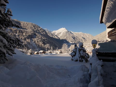 Matschun Appartements Apartment in Vorarlberg, Austria