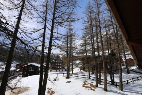 View (from property/room), Area and facilities