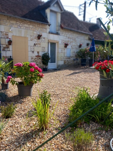 Property building, Day, Garden