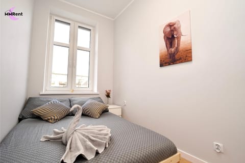 Bed, Photo of the whole room, towels