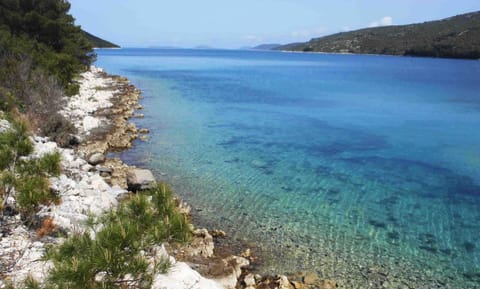 Snorkeling, Area and facilities