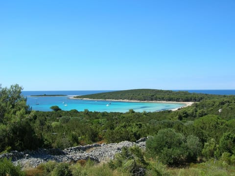 Snorkeling, Beach, Area and facilities