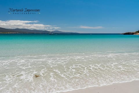 Sea Shanty Apartment in Bicheno