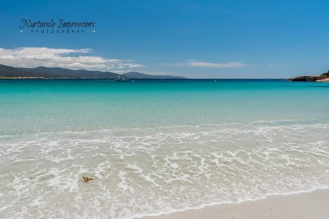 Ocean Dreams Apartment in Bicheno