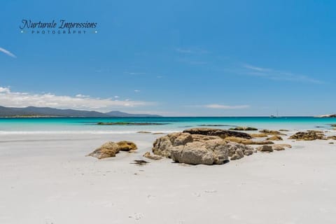 Anchors Away Apartment in Bicheno