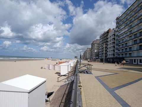 Nearby landmark, Beach