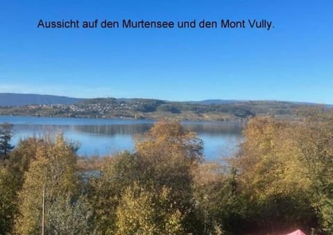 Seeblick Apartment in Fribourg, Switzerland