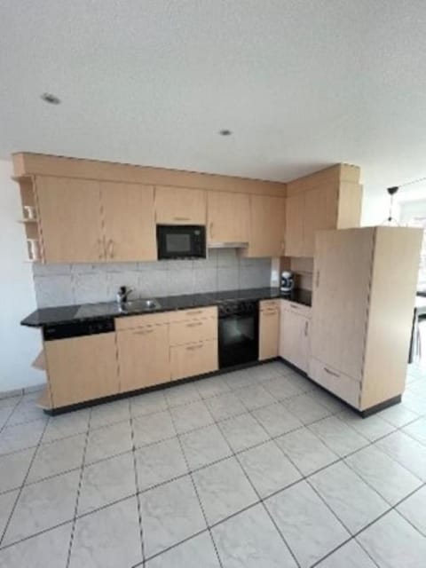 Seeblick Apartment in Fribourg, Switzerland