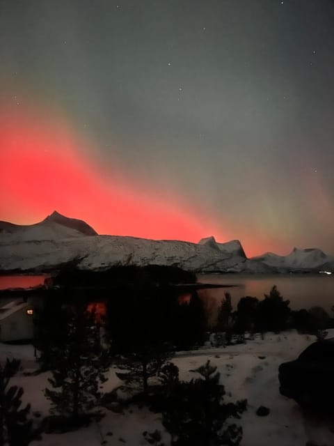 Efjord and Stetind Resort - Cabin Ocean Cabin in Nordland, Norway