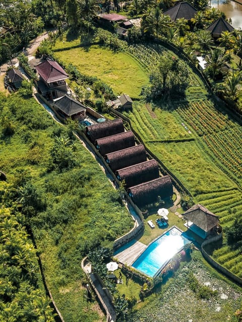 Property building, Natural landscape, View (from property/room)