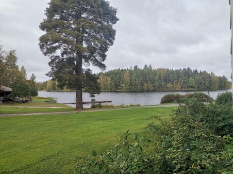 Natural landscape, Lake view